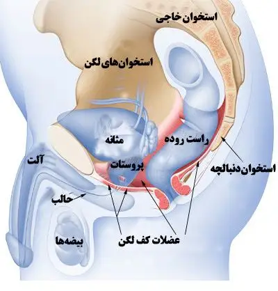 درمان زودانزالی